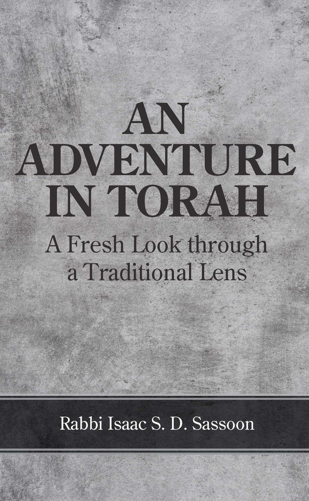 כריכת הספר An Adventure in Torah: A Fresh Look through a Traditional Lens