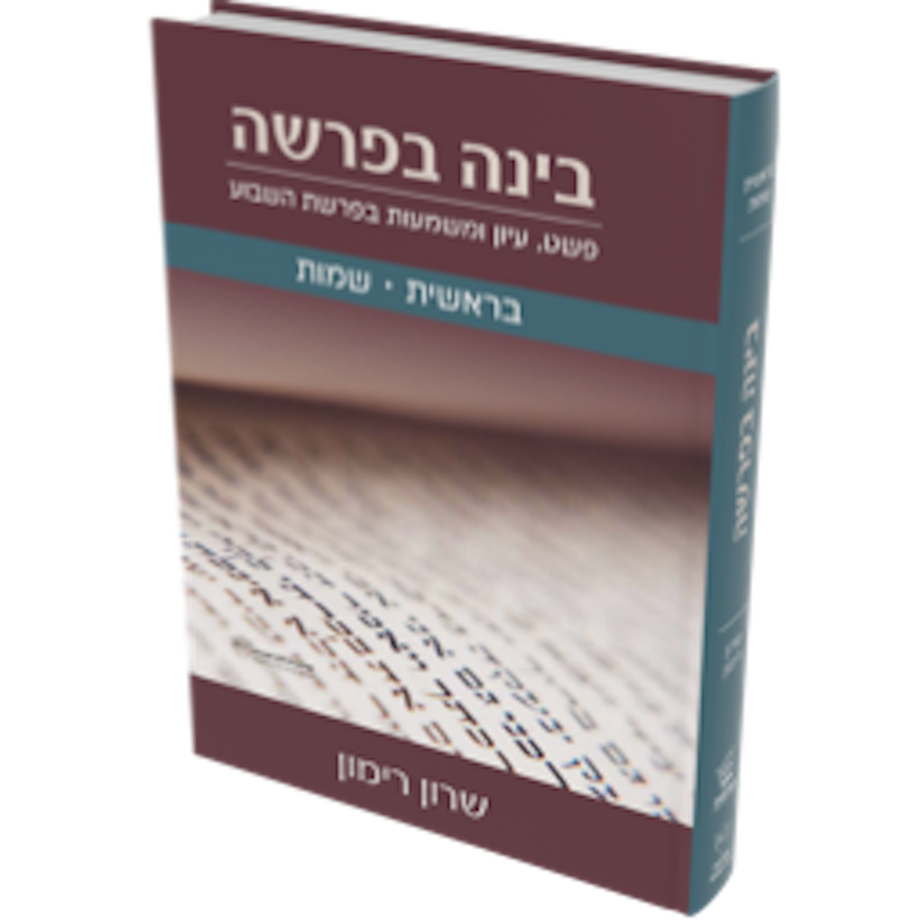 Cover: Bina BeParasha – Bereishit and Shemot