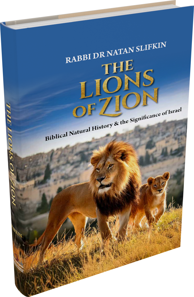 Cover: The Lions of Zion