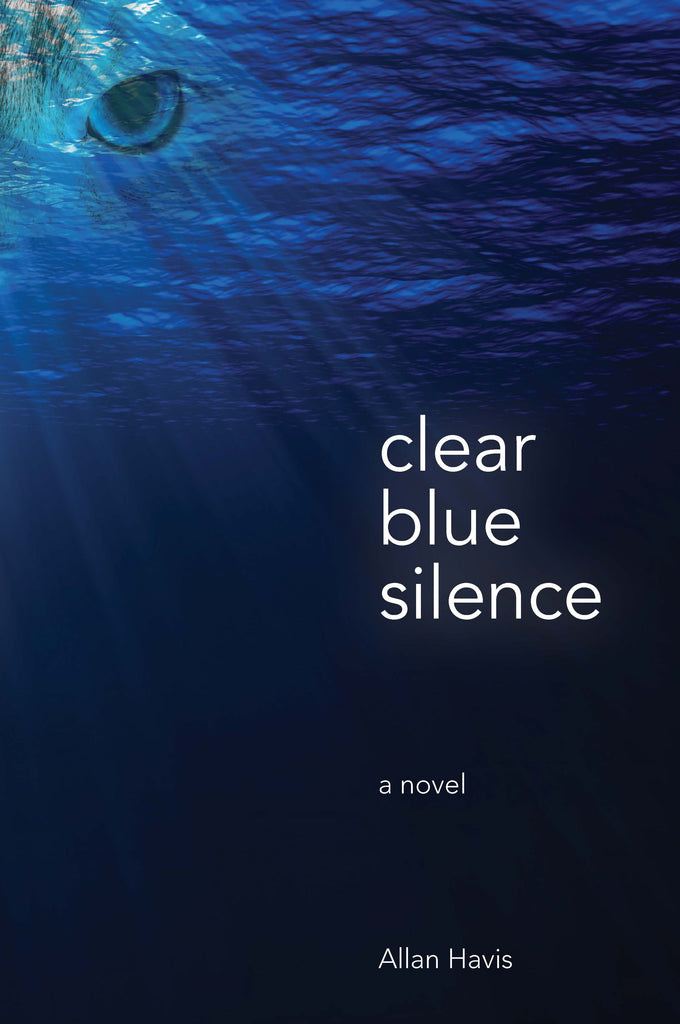 כריכת הספר Clear Blue Silence: A Novel