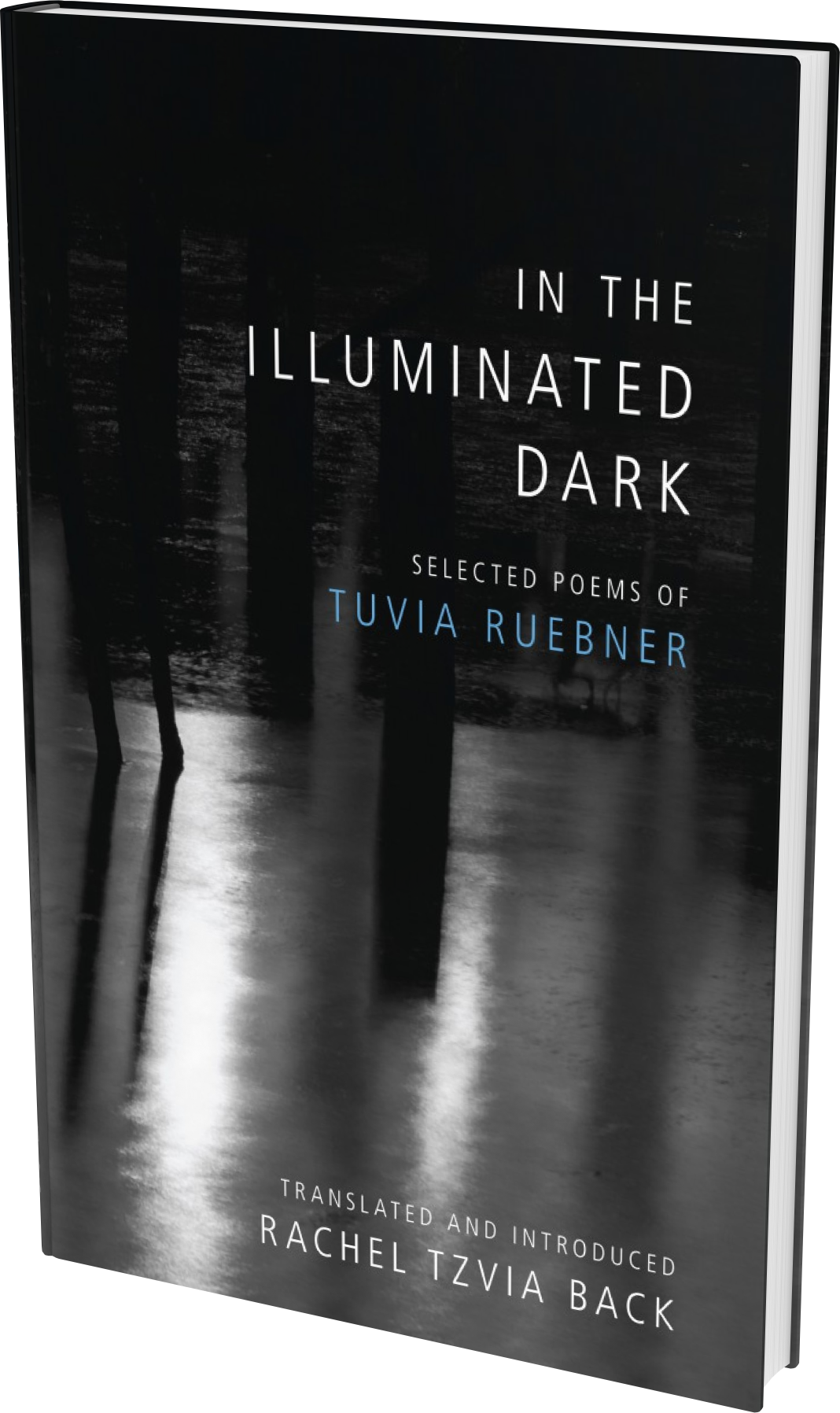 Cover: In the Illuminated Dark: Selected Poems of Tuvia Ruebner