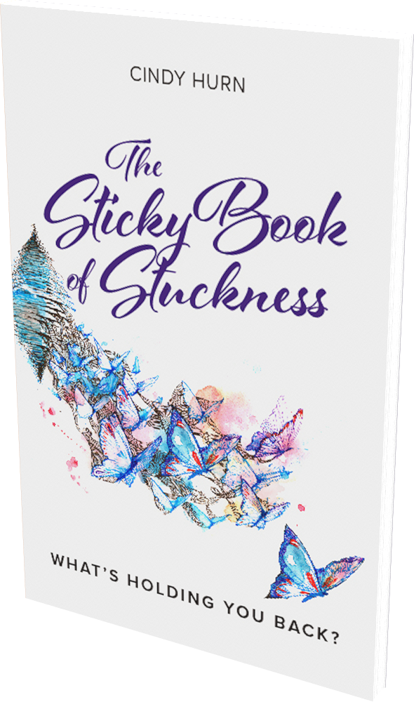 Cover: The Sticky Book of Stuckness