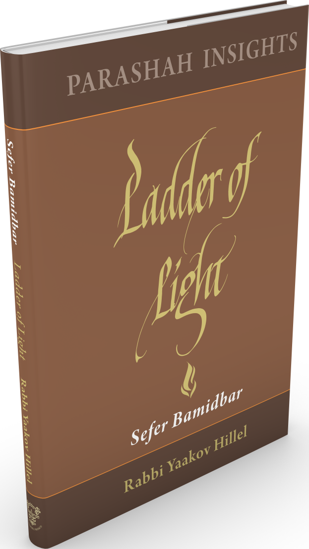 כריכת הספר Ladder of Light: Sefer Bamidbar