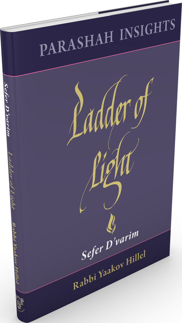 כריכת הספר Ladder of Light: Sefer Devarim