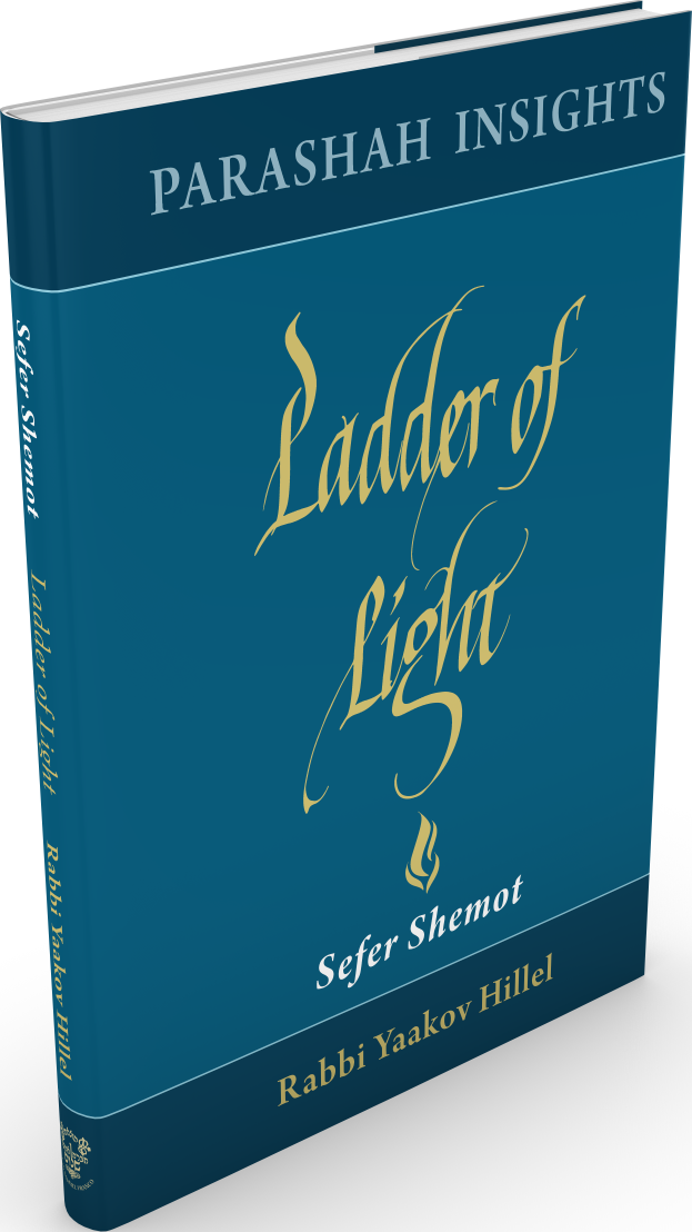 כריכת הספר Ladder of Light: Sefer Shemot