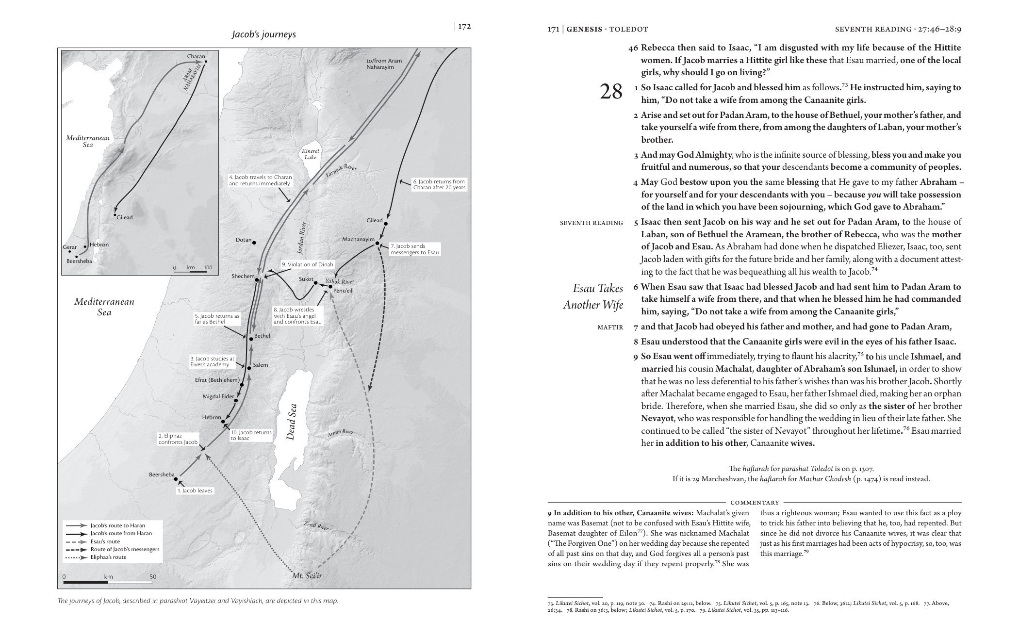 Interior pages: The Torah – Synagogue Edition