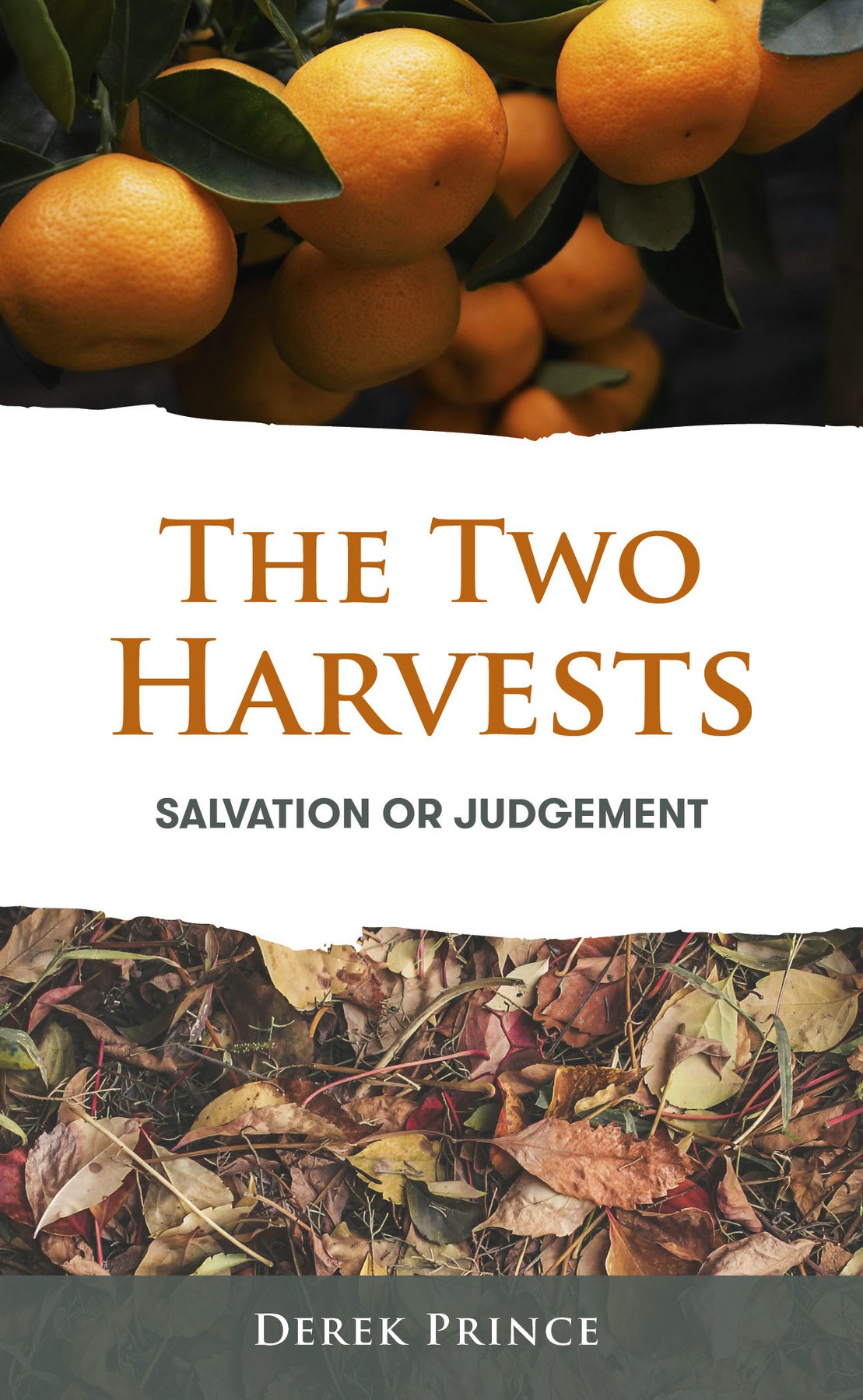 Cover: The Two Harvests