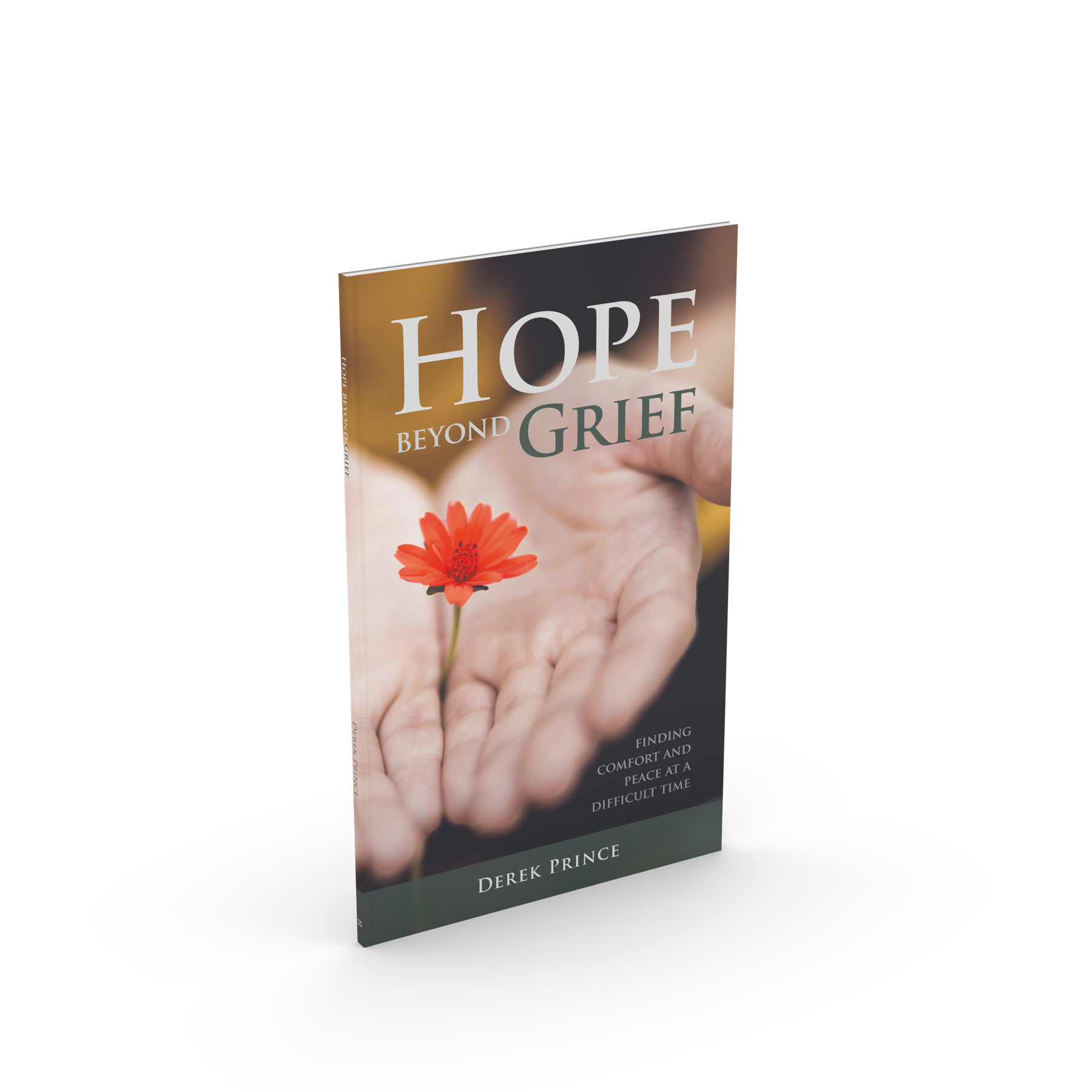 Cover: Hope Beyond Grief