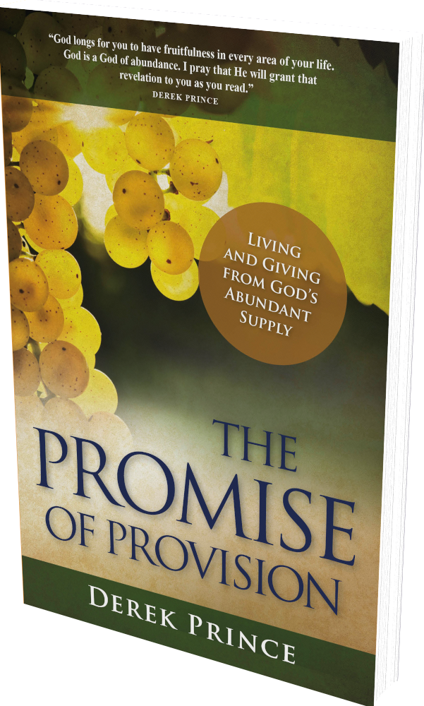 Cover: The Promise of Provision
