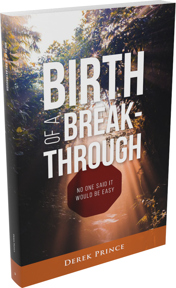 Cover: Birth of a Breakthrough