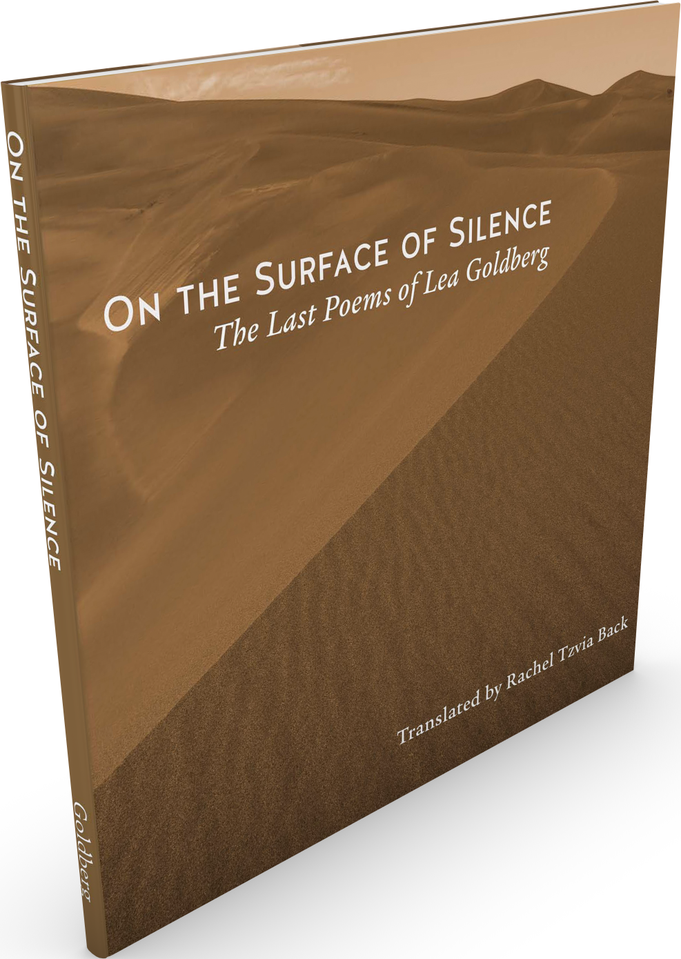 Cover: On the Surface of Silence