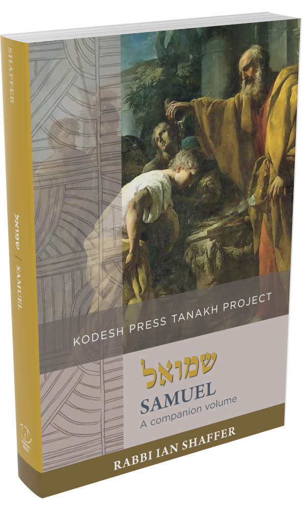 Cover: Samuel: A Companion Volume