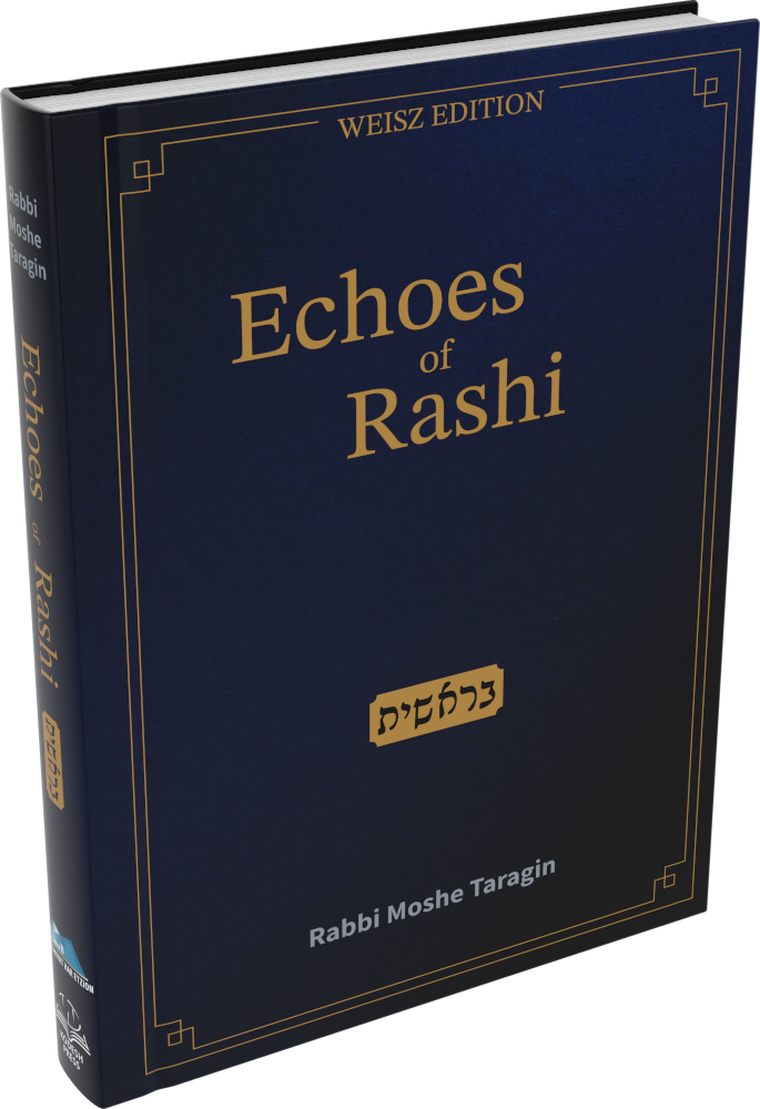 Cover: Echoes of Rashi: Bereishit
