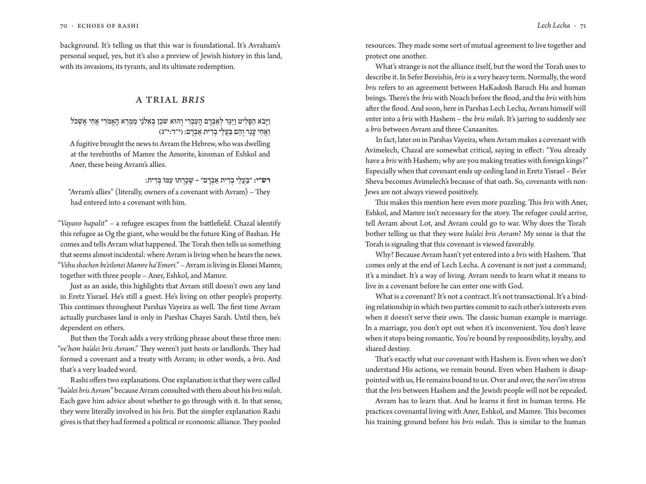 Interior pages: Echoes of Rashi: Bereishit