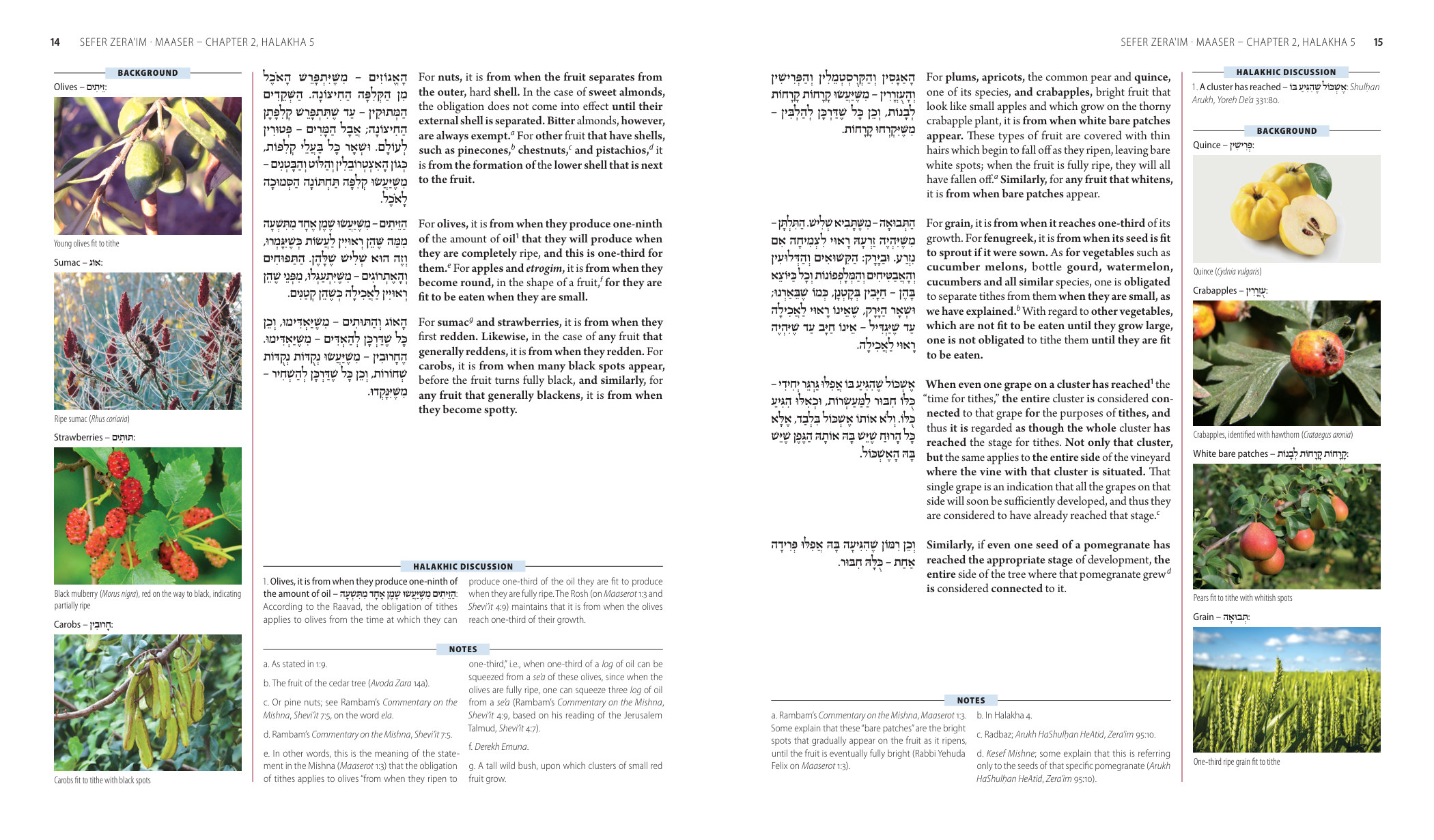 Featured spread: Steinsaltz Rambam Mishne Torah – Sefer Zera’im