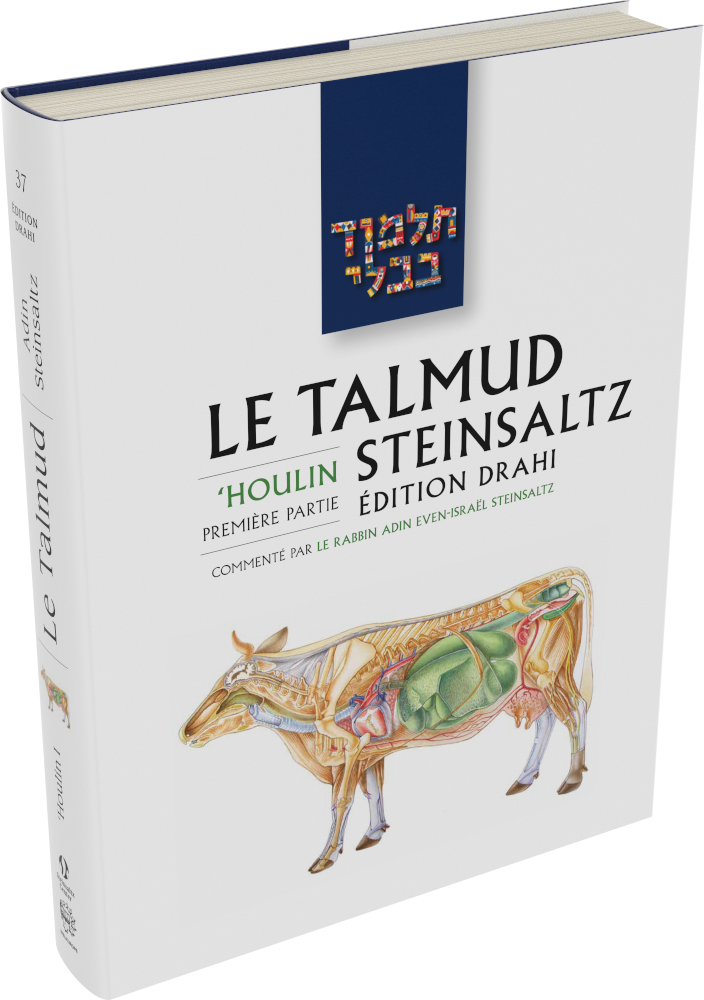 Cover: Le Talmud Steinsaltz: Ḥoulin I