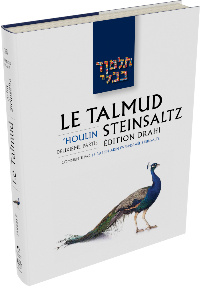 Cover: Le Talmud Steinsaltz: Ḥoulin II