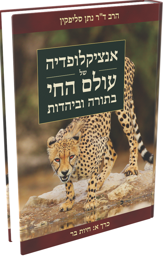 Cover: The Torah Encyclopedia of the Animal Kingdom – Hebrew Edition