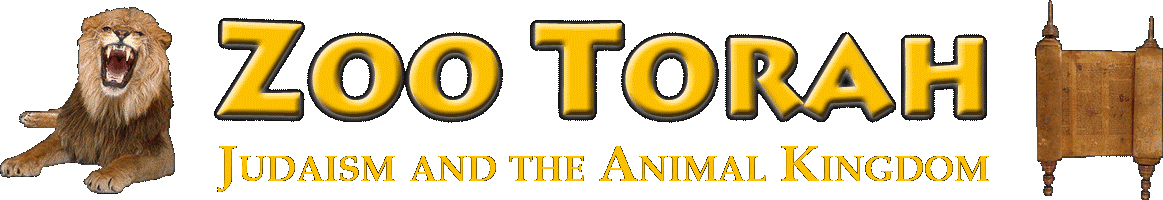 Zoo Torah / Torah and Nature Foundation